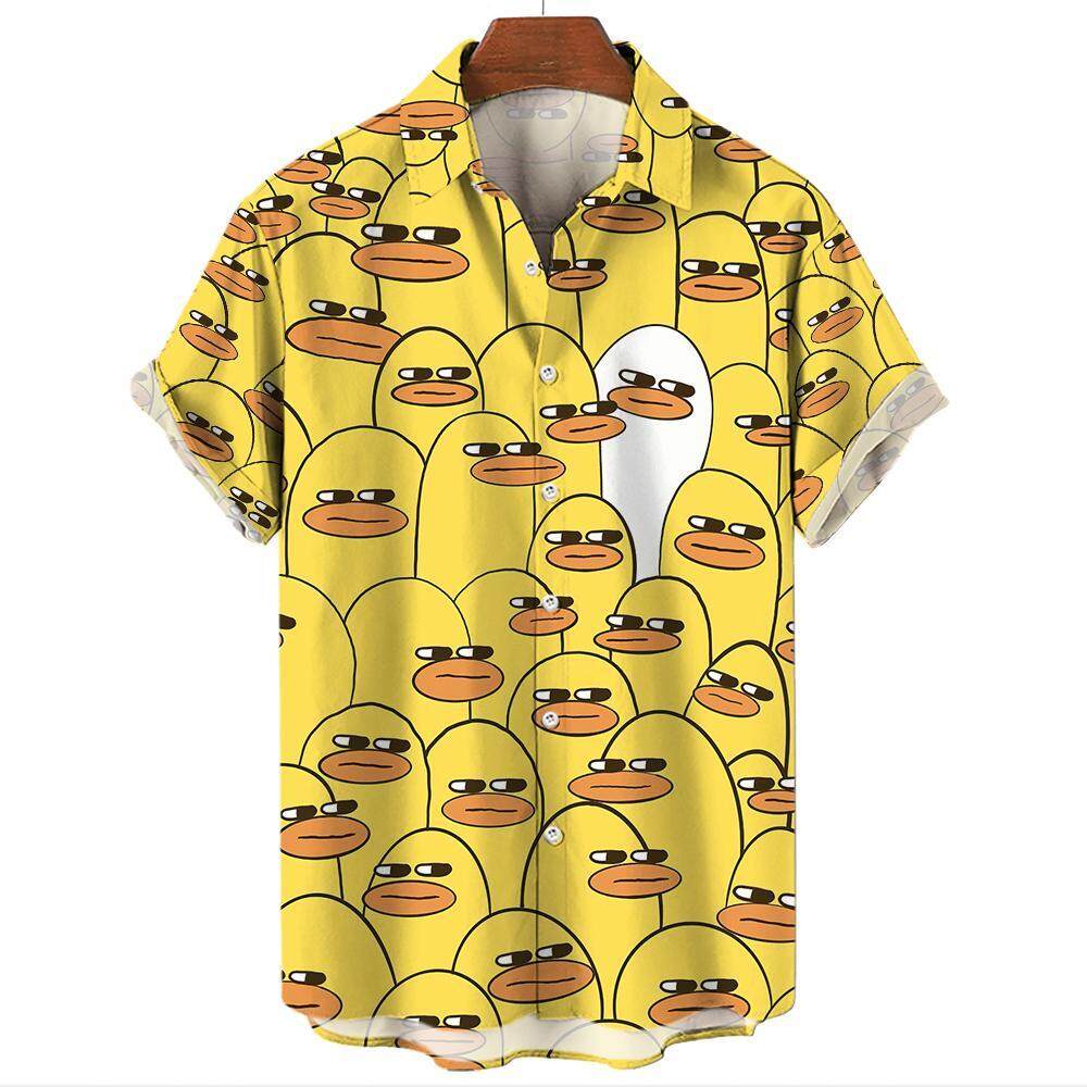 2026 New Korean Fashion Hawaii - Summer Duck Clothing review and price